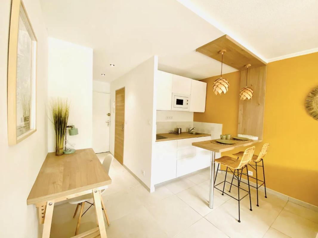 Studio Terrasse & Parking Gratuit En Residence นีมส์ ภายนอก รูปภาพ